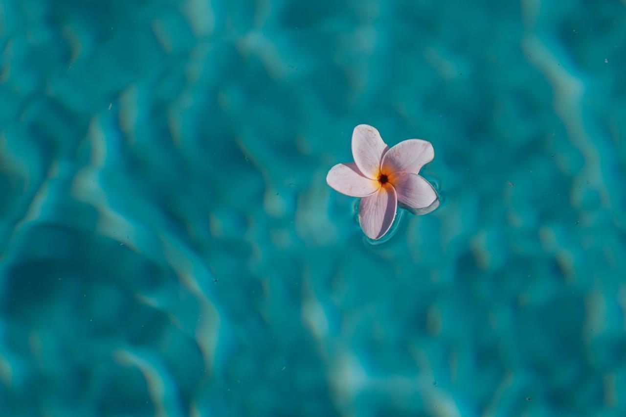 サルヴェ Palazzo Frangipane Bed & Breakfast エクステリア 写真